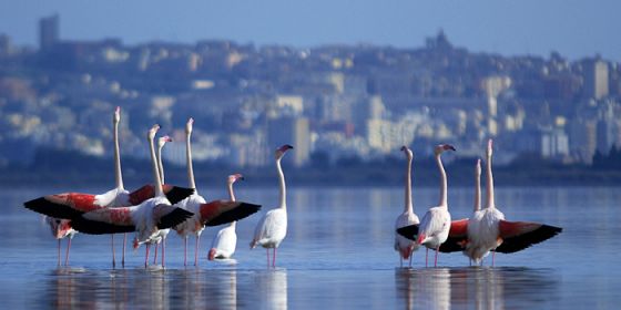 Rete natura 2000 per la sostenibilità