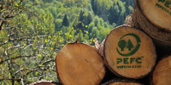 La certificazione forestale Pefc come strumento di comunicazione della buona gestione del territorio