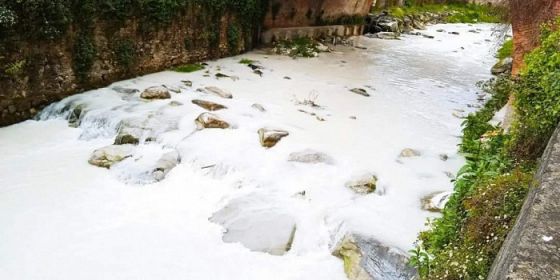 Dialoghi sull'ambiente: l'esortazione apostolica 
